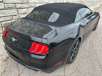 2023 Ford Mustang EcoBoost