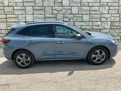 2024 Ford Escape Hybrid ST-Line