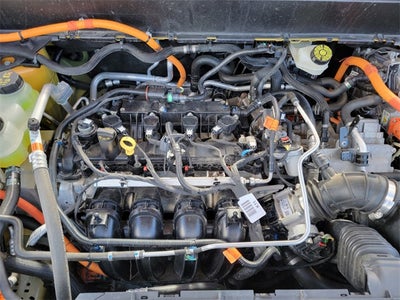 2023 Ford Maverick XLT