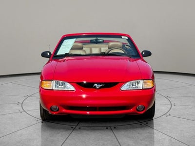 1994 Ford Mustang Cobra INDY PACE CAR